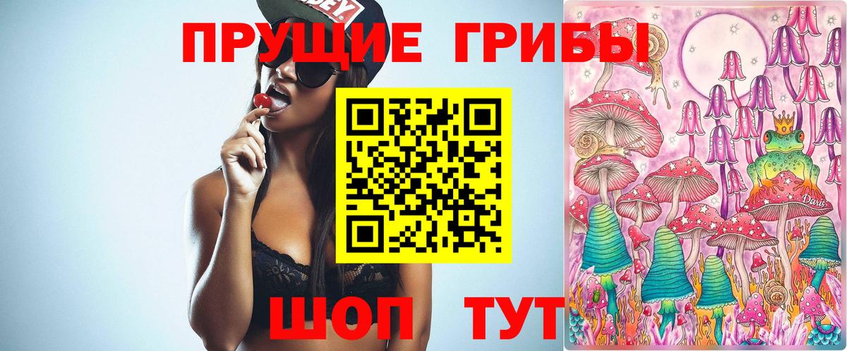 Псилоцибиновые грибы Cubensis Димитровград