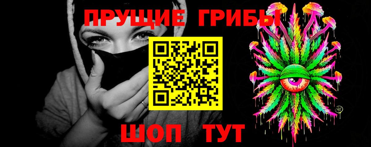 Димитровград  Галлюциногенные грибы мухоморы  купить наркоту  Вход с VPN  Псилоцибиновые грибы Psilocybe 